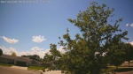 Web Cam Image - Wed, 06/10/2026 2:19pm CDT