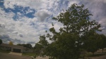 Web Cam Image - Mon, 06/22/2026 12:40pm CDT