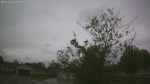 Web Cam Image - Mon, 05/18/2026 5:05pm CDT