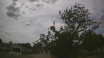 Web Cam Image - Thu, 05/28/2026 2:41pm CDT