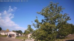 Web Cam Image - Fri, 06/19/2026 7:17am CDT
