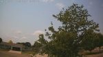 Web Cam Image - Sat, 06/27/2026 10:38am CDT