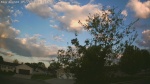 Web Cam Image - Sun, 05/24/2026 5:46am CDT