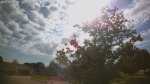 Web Cam Image - Thu, 06/04/2026 5:16pm CDT