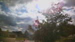 Web Cam Image - Thu, 06/11/2026 5:01pm CDT