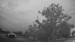 Web Cam Image - Sat, 05/30/2026 4:37am CDT