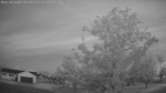 Web Cam Image - Tue, 06/02/2026 4:41am CDT