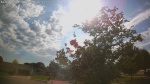 Web Cam Image - Thu, 06/04/2026 5:13pm CDT