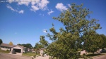 Web Cam Image - Sun, 06/14/2026 10:07am CDT