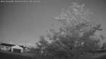 Web Cam Image - Tue, 06/16/2026 3:52am CDT