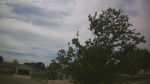 Web Cam Image - Sun, 06/07/2026 2:16pm CDT