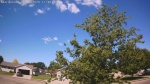 Web Cam Image - Sun, 06/14/2026 10:04am CDT