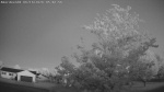 Web Cam Image - Tue, 06/16/2026 3:50am CDT