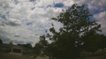 Web Cam Image - Mon, 06/22/2026 12:29pm CDT