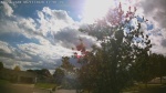 Web Cam Image - Thu, 06/11/2026 4:55pm CDT