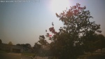 Web Cam Image - Wed, 07/01/2026 4:58pm CDT