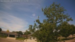 Web Cam Image - Wed, 06/03/2026 11:43am CDT