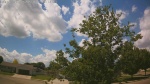 Web Cam Image - Fri, 06/05/2026 12:35pm CDT