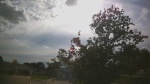Web Cam Image - Sun, 06/07/2026 4:56pm CDT