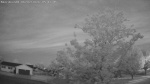 Web Cam Image - Tue, 06/02/2026 4:35am CDT