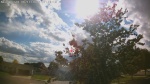 Web Cam Image - Thu, 06/11/2026 4:52pm CDT