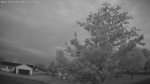 Web Cam Image - Wed, 06/17/2026 4:13am CDT
