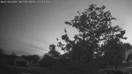 Web Cam Image - Thu, 06/25/2026 8:41pm CDT