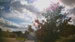 Web Cam Image - Thu, 06/11/2026 4:50pm CDT