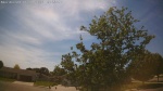 Web Cam Image - Mon, 06/01/2026 3:19pm CDT