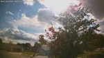 Web Cam Image - Thu, 06/11/2026 4:49pm CDT