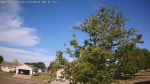 Web Cam Image - Thu, 06/25/2026 7:31am CDT