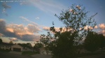 Web Cam Image - Sun, 05/24/2026 5:31am CDT
