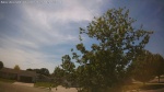 Web Cam Image - Mon, 06/01/2026 3:17pm CDT