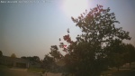 Web Cam Image - Wed, 07/01/2026 4:50pm CDT