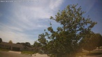 Web Cam Image - Mon, 06/01/2026 3:13pm CDT