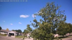 Web Cam Image - Sun, 06/14/2026 9:50am CDT