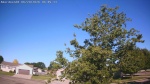 Web Cam Image - Sat, 06/20/2026 7:22am CDT