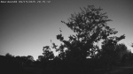 Web Cam Image - Mon, 09/15/2025 5:56pm CDT