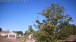 Web Cam Image - Sat, 06/20/2026 7:19am CDT
