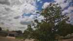 Web Cam Image - Mon, 06/22/2026 12:13pm CDT