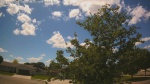 Web Cam Image - Wed, 06/10/2026 1:50pm CDT