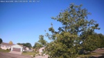 Web Cam Image - Sat, 06/20/2026 7:17am CDT