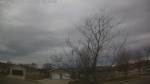 Web Cam Image - Wed, 04/08/2026 8:19am CDT