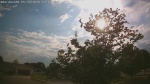 Web Cam Image - Sun, 05/31/2026 6:01pm CDT