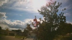 Web Cam Image - Thu, 06/11/2026 4:37pm CDT