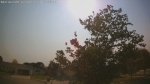 Web Cam Image - Wed, 07/01/2026 4:40pm CDT