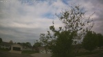 Web Cam Image - Thu, 05/21/2026 9:22am CDT