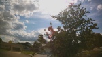 Web Cam Image - Thu, 06/11/2026 4:34pm CDT