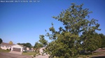 Web Cam Image - Sat, 06/13/2026 7:22am CDT