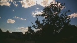 Web Cam Image - Tue, 06/23/2026 3:37pm CDT